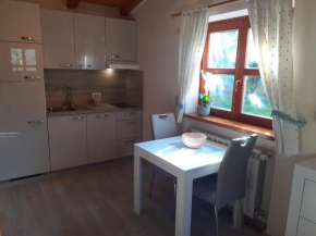 MS Apartments, Izola